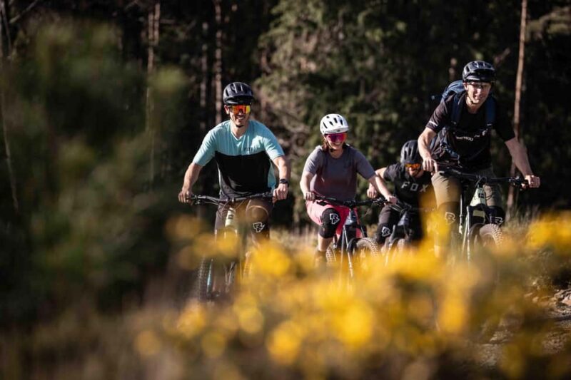 Serra da Lousã: Aldeias do Xisto Bike Tour with Local Guide - Who Will Love This Tour?