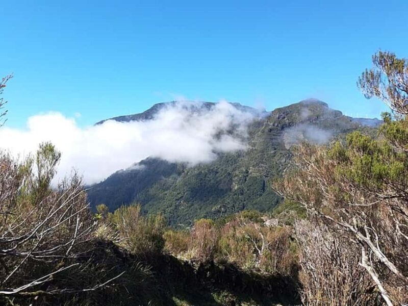 Serra dÁgua: A Scenic Levada Walk - A Deep Dive into the Serra d’Água Guided Walk