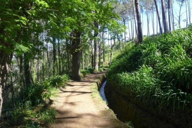 Serra dÁgua: A Scenic Levada Walk - Frequently Asked Questions (FAQs)