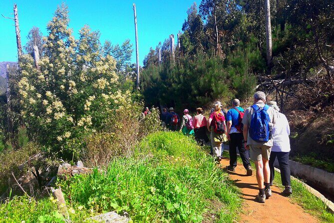 Serra D'Água Valley - Levada Walk - A Detailed Look at the Serra DÁgua Valley Levada Walk