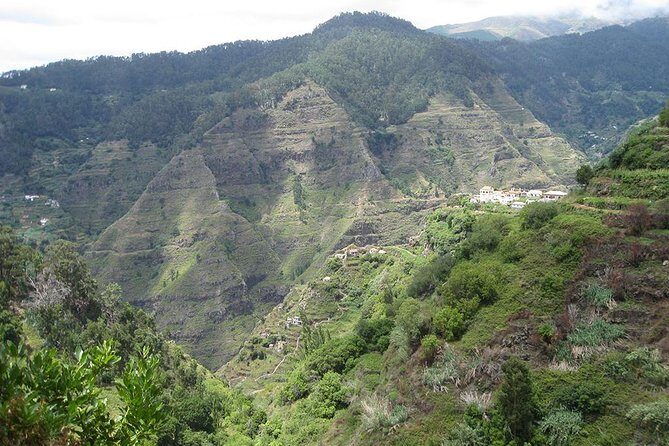 Serra D'Água Valley - Levada Walk - Final Thoughts: Who Will Love This Experience?