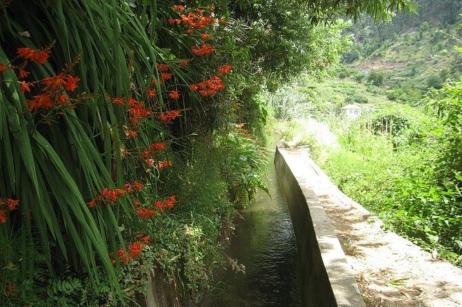 Serra D'Água Valley - Levada Walk - FAQ
