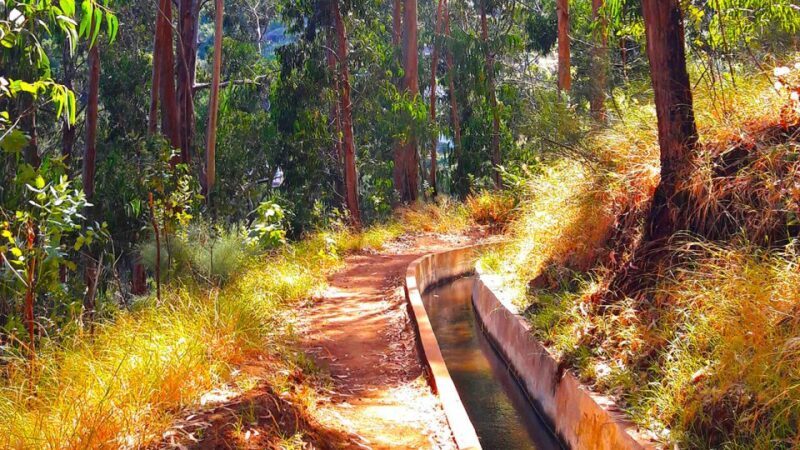Serra de Água Valley Levada Walk - The Sum Up: Who Should Consider the Serra de Água Valley Levada Walk?