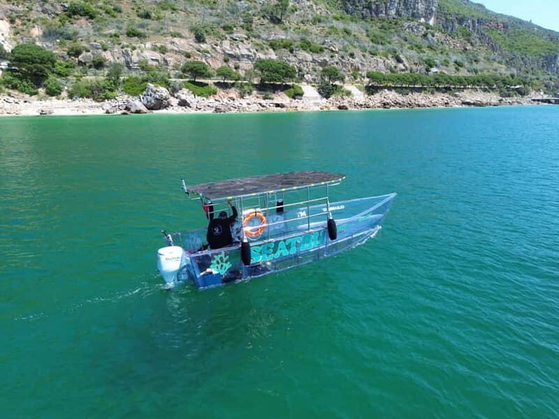 Sesimbra: Clear Boat Experience - Who Should Consider This Tour?