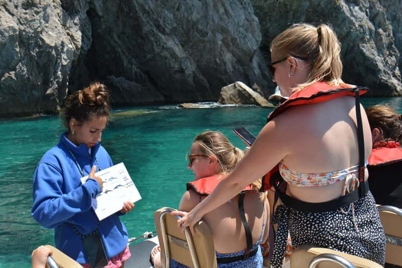 Sesimbra: Dolphin and Whales Watching with Biologist Guide - An In-Depth Look at the Experience