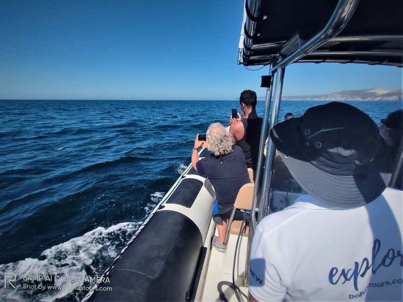 Sesimbra: Dolphin and Whales Watching with Biologist Guide - Practical Tips for Travelers