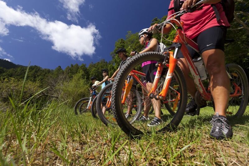 Sete Cidades Bike Rental - A Practical Guide to Sete Cidades Bike Rental