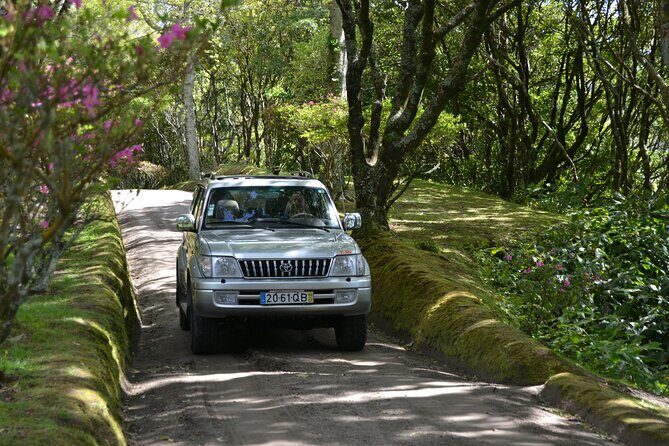 Sete Cidades Full-Day 4WD Tour from Ponta Delgada with Hiking - Who Will Love This Tour?