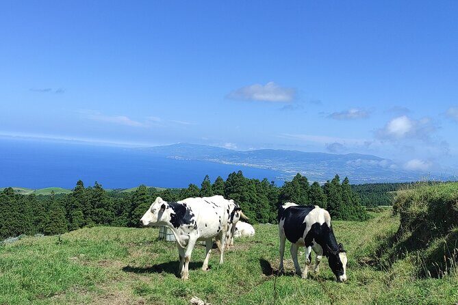 Sete Cidades on Jeep - Exploring Sete Cidades on a Jeep: An Authentic Island Experience