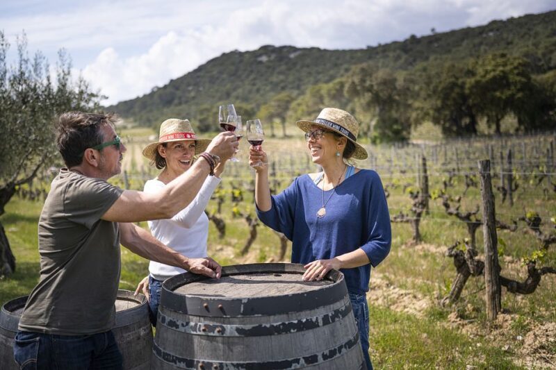 Sète: HalfDay Wine Tour - Discover the Flavors and Scenery of Languedoc with a Half-Day Wine Tour from Sète