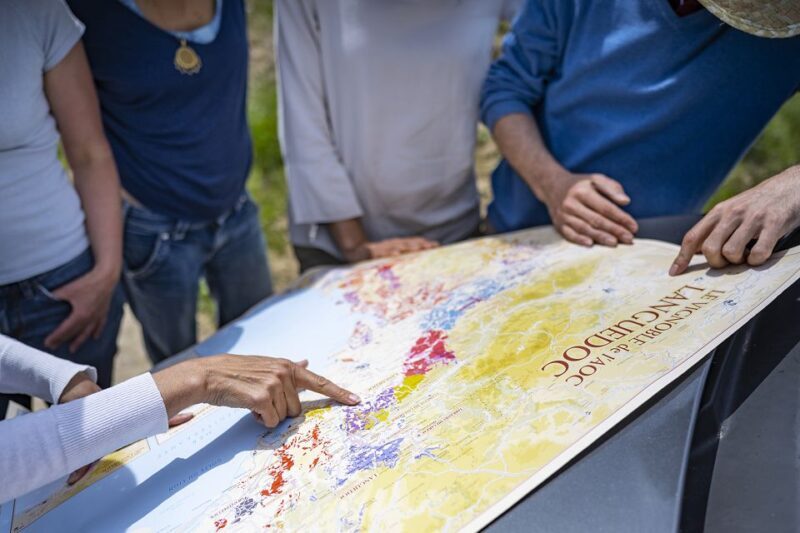 Sète: HalfDay Wine Tour - Key Points