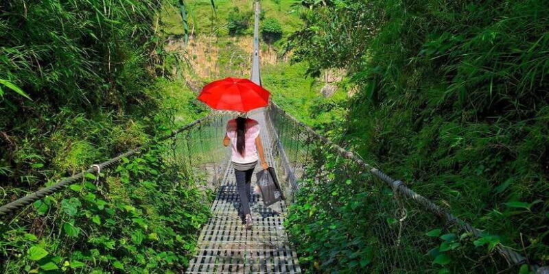 Seti George and Thrilling Suspension Bridge Tour at Pokhara - Key Points