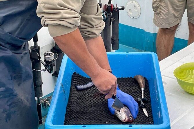 Setouchi Fishing and Culinary Adventure - A Deep Dive into the Experience