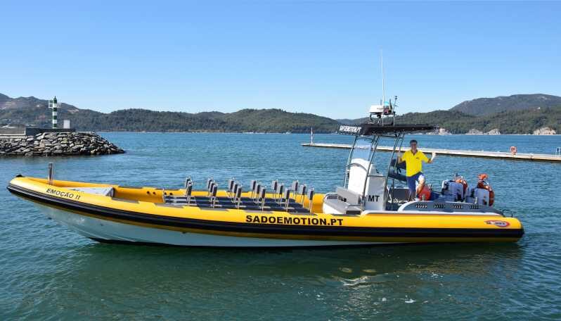 Setúbal and Tróia: Dolphin Watching and Arrábida Bays - A Deep Dive into the Experience
