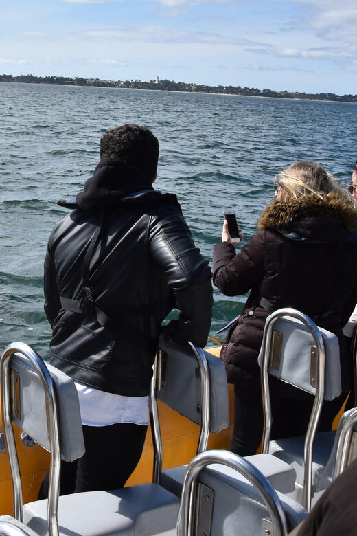 Setúbal and Tróia: Dolphin Watching and Arrábida Bays - Who Should Consider This Tour?