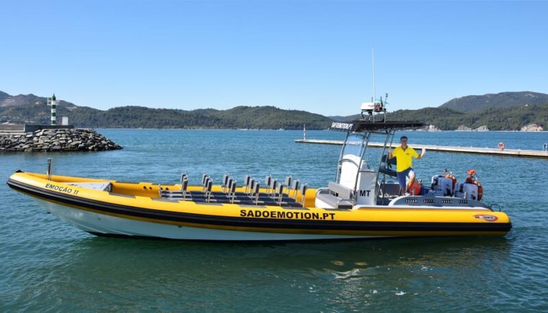 Setúbal and Tróia: Dolphin Watching and Arrábida Bays - Frequently Asked Questions