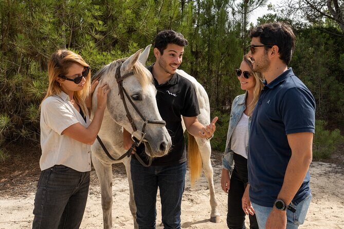 Setubal & Comporta Trip with Horseback Riding from Lisbon - Who Should Consider This Tour?