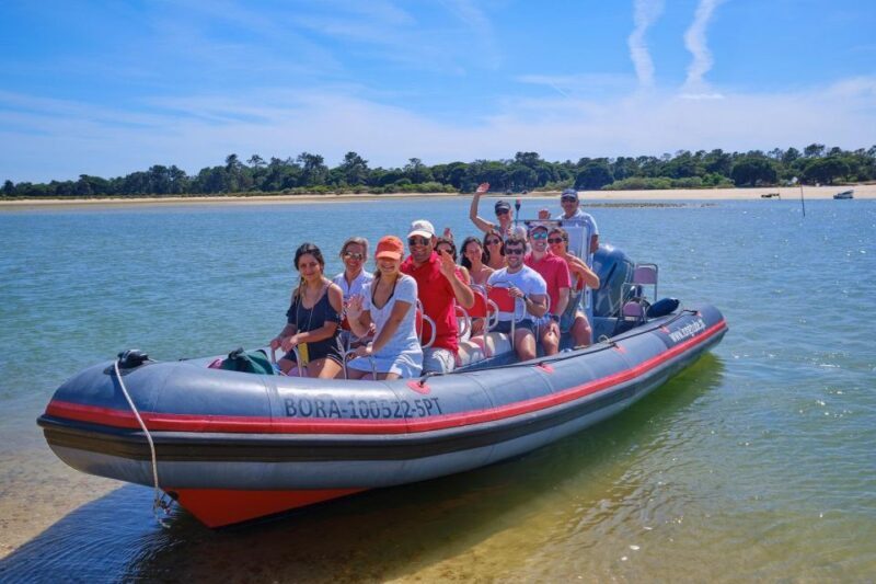 Setúbal: Dolphin-Watching Boat Tour - Key Points