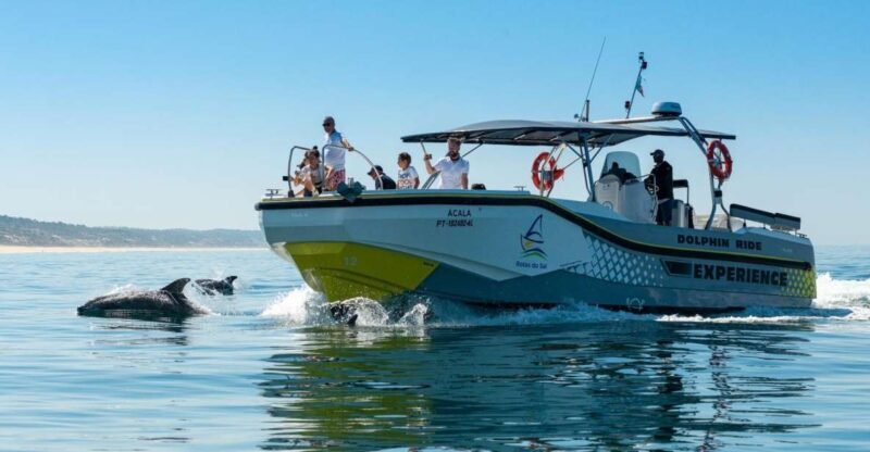 Setúbal: Dolphin Watching Boat Tour - Pricing and Value Analysis