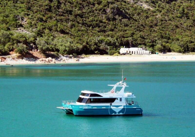 Setúbal: Dolphin Watching Tour - The Practical Details