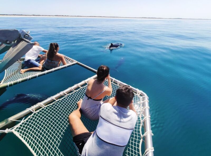 Setúbal: Dolphin Watching Tour - FAQs about the Setúbal Dolphin Watching Tour
