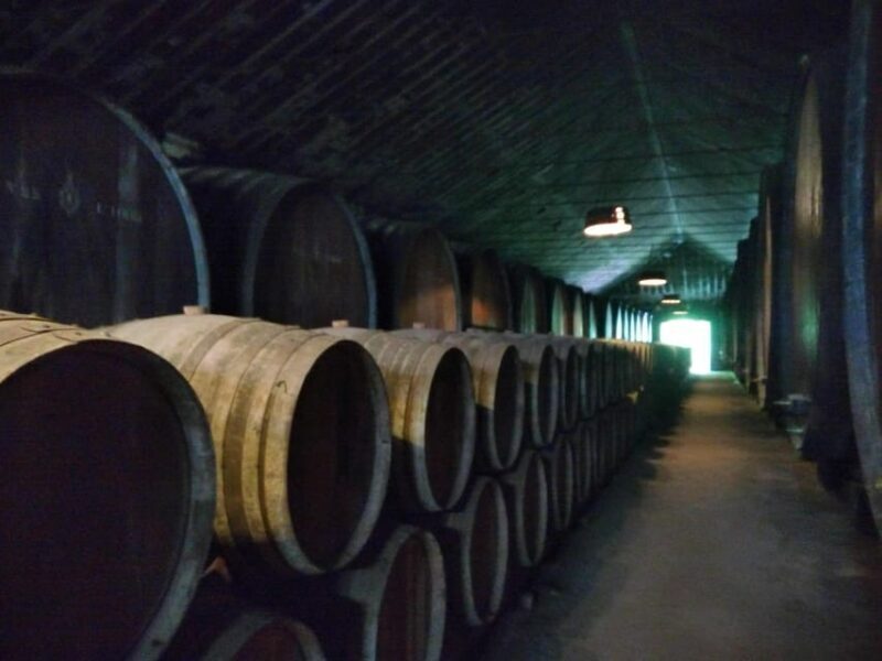 Setúbal: Market, Tiles and Wine (From Lisbon) - FAQ