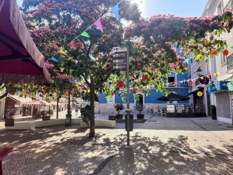 Setúbal Private Walking Tour: Off-the-Beaten-Path Charms - Setúbal Private Walking Tour: Off-the-Beaten-Path Charms