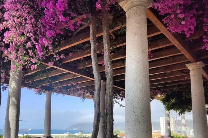 Setúbal Private Walking Tour Off-the-Beaten-Path - Who Would Love This Tour?