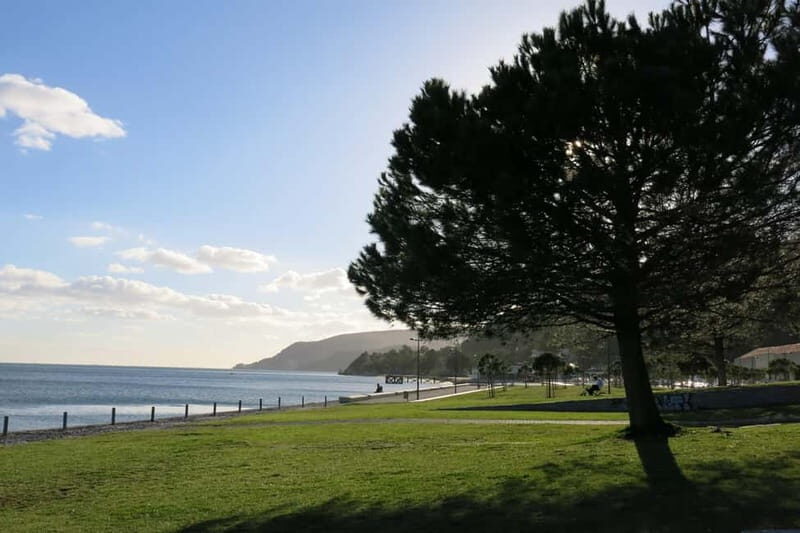 Setúbal: Private Walking Tour with Tastings - Exploring Setúbal in Detail