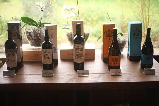 Setubal Private Wine Tour, Food Tasting, Beaches, Palaces and Art - Concluding Thoughts