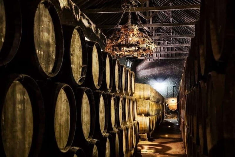 Setúbal Wine Tour: Discover the Moscatel Wine - Discovering Portugal’s Wine Treasures: The Setúbal Wine Tour