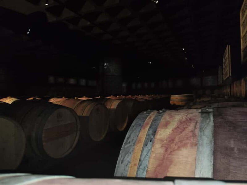 Setúbal Wine Tour: Discover the Moscatel Wine - Who Is This Tour Best For?