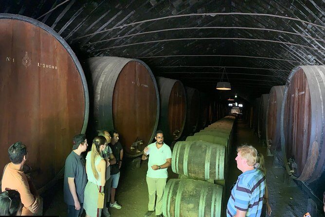 Setúbal Wine Tour with Visit and Tasting at 2 Wineries - Transportation and logistics