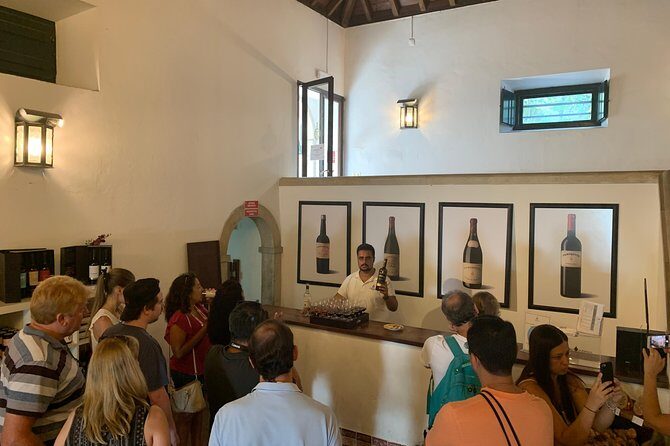 Setúbal Wine Tour with Visit and Tasting at 2 Wineries - The Sum Up