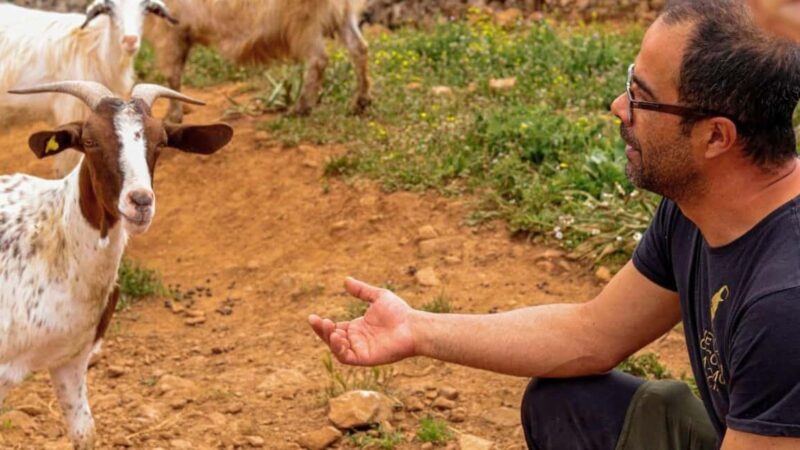 Seulo: Farm Tour with Local Product Tasting - A Deep Dive into the Sardinian Farm Experience