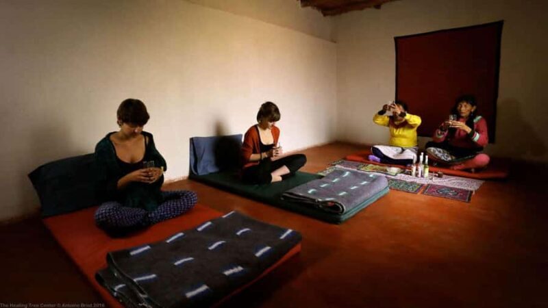 Seven Day Ayahuasca Retreat in Cusco - Shared Intermediate - A Complete Look at the 7-Day Ayahuasca Retreat Near Cusco