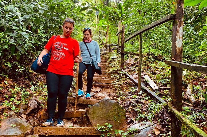 Seven Sisters Falls Hike / Annandale Falls / Grand Etang National Park & Lake - Final Thoughts