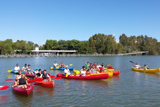 Sevilla 2 Hour Kayaking Tour on the Guadalquivir River - A Thorough Look at the Sevilla Kayaking Tour on the Guadalquivir River