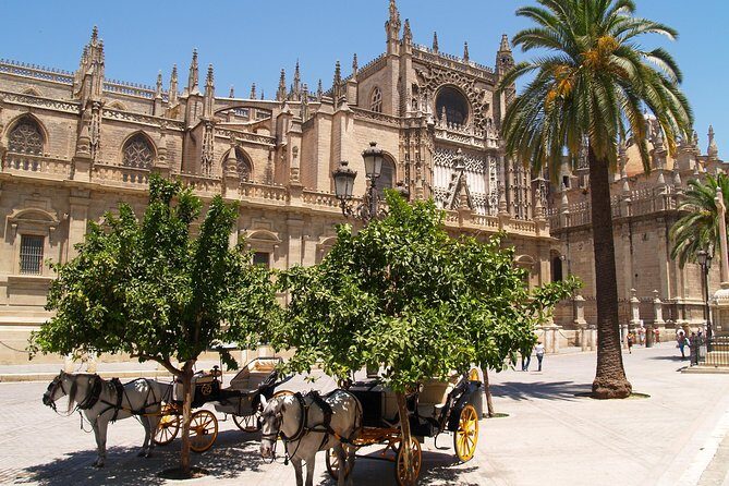 Sevilla: Best Monumental Free Walking Tour - Who Will Love This Tour?