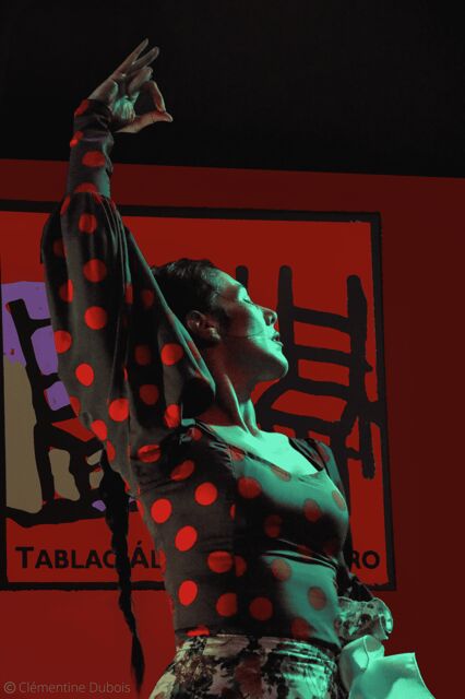 Sevilla: Flamenco Show at Tablao Álvarez Quintero - What to Expect at the Flamenco Show