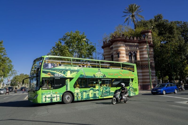 Sevilla: Hop-On Hop-Off & Walking Tours, Cruise & Flamenco - Whats Not Included & Practical Tips