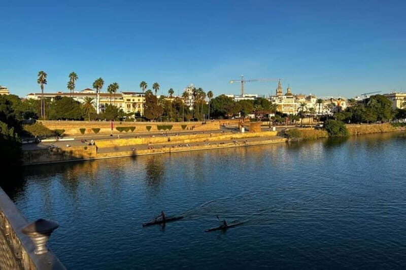 Sevilla Private Full-Day Tour from Malaga - A Complete Day Trip to Sevilla from Malaga: Authentic, Comfortable, and Well-Organized