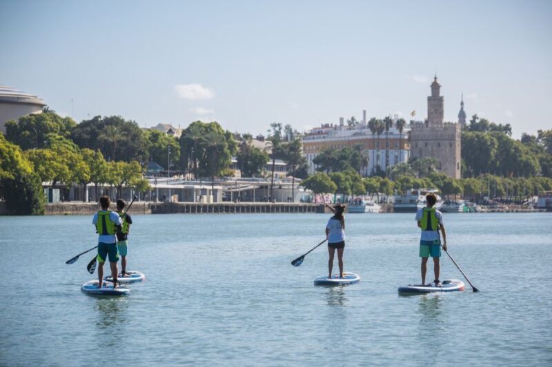 Seville: 1.5-Hour Daytime Standup Paddleboarding Tour - Key Points