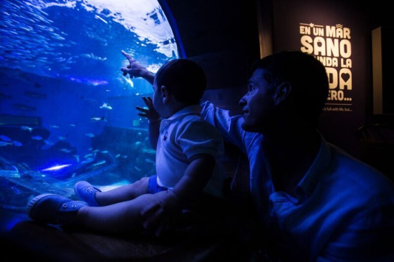 Seville Aquarium Admission Ticket - An In-Depth Look at the Seville Aquarium Experience