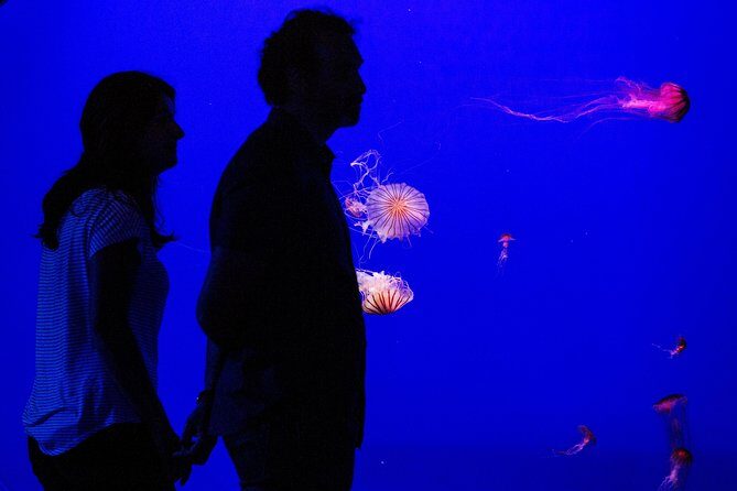 Seville Aquarium Admission Ticket - Exploring the Seville Aquarium: What You Can Expect