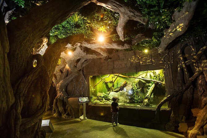 Seville Aquarium Admission Ticket - Who Should Visit the Seville Aquarium?