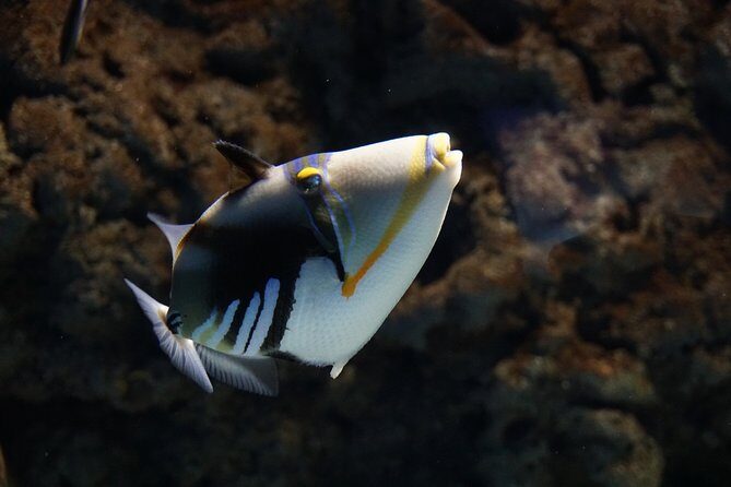 Seville Aquarium Admission Ticket - FAQ — Your Practical Questions Answered