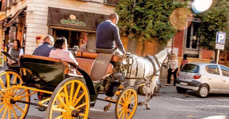 Seville: Authentic and Romantic Horse-Drawn Carriage Ride - An In-Depth Look at the Experience