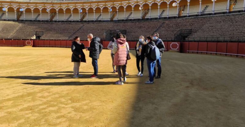 Seville: Bullring Guided Tour with a Skip-the-Line Ticket - Key Points