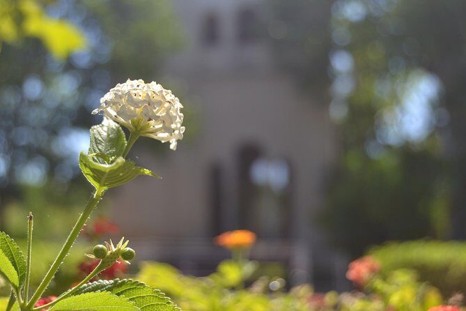 Seville Cartuja Monastery private visit - In-Depth Look at the Seville Cartuja Monastery Private Tour